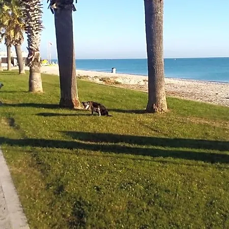 Alojamento de Acomodação e Pequeno-almoço Casa Dilva Porto SantʼElpidio