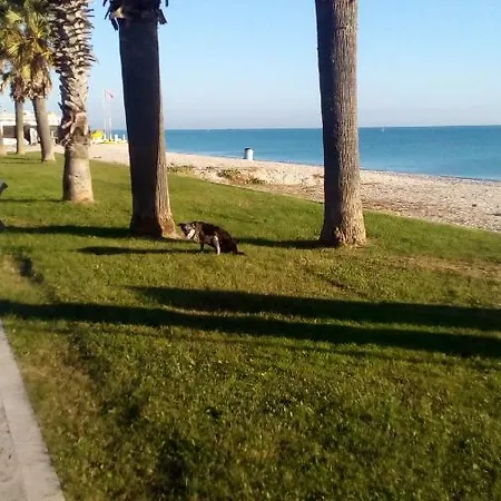 Casa Dilva לינה וארוחת בוקר Porto SantʼElpidio